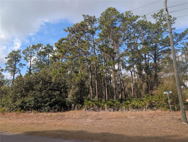 ALLAMANDA DRIVE, Indian Lake Estates, FL 33855