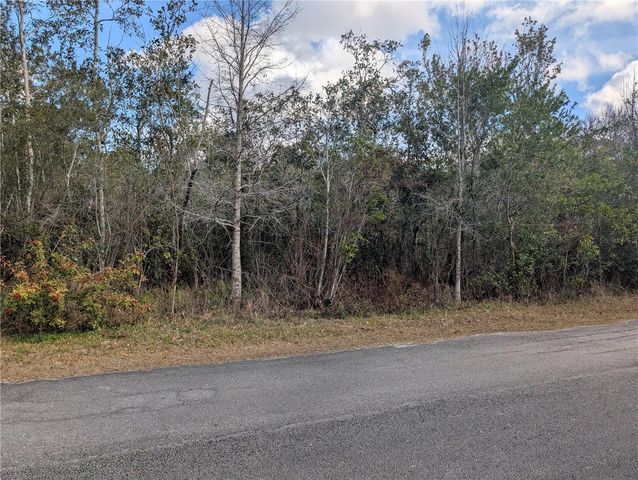 ALLAMANDA DRIVE, Indian Lake Estates, FL 33855