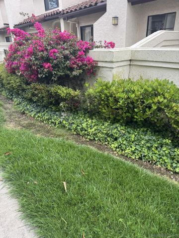 4130 Porte de Palmas 8, San Diego, CA 92122