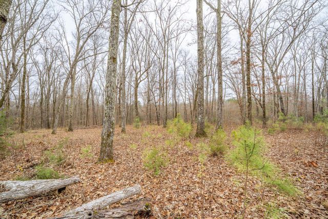 225 STICINE RD, Guys, TN 38339