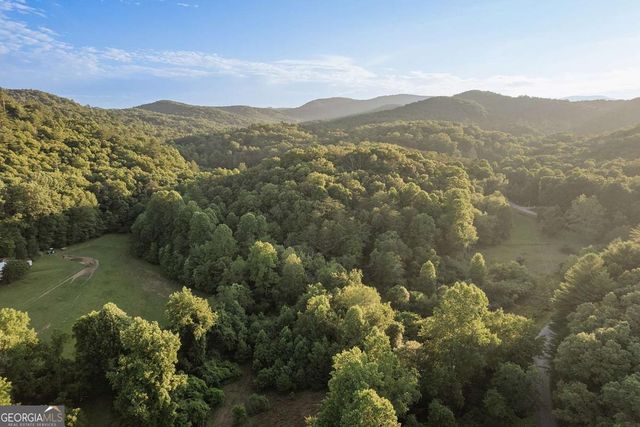 328 Black Ankle Creek Road, Cherry Log, GA 30522