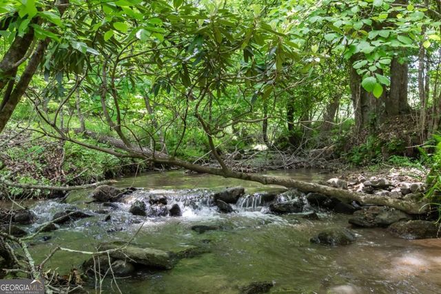 328 Black Ankle Creek Road, Cherry Log, GA 30522