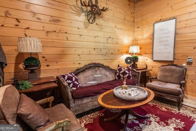328 Black Ankle Creek Road, Cherry Log, GA 30522