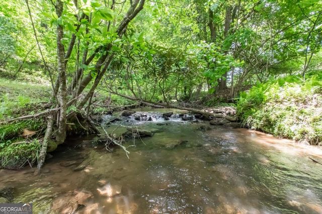 328 Black Ankle Creek Road, Cherry Log, GA 30522