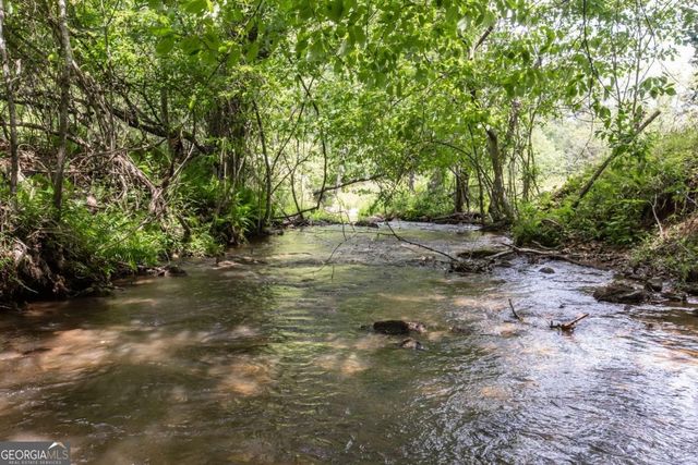 328 Black Ankle Creek Road, Cherry Log, GA 30522