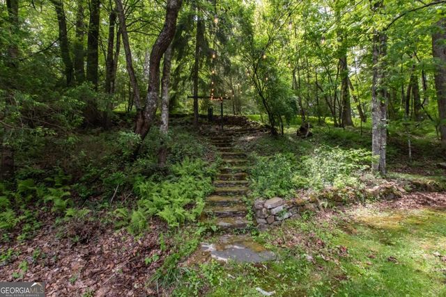 328 Black Ankle Creek Road, Cherry Log, GA 30522