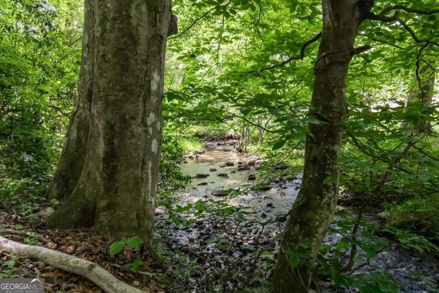 328 Black Ankle Creek Road, Cherry Log, GA 30522