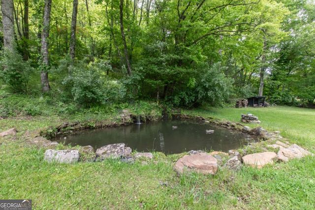 328 Black Ankle Creek Road, Cherry Log, GA 30522