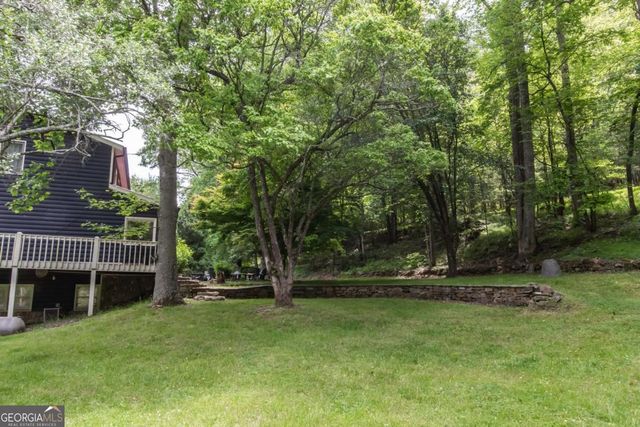 328 Black Ankle Creek Road, Cherry Log, GA 30522
