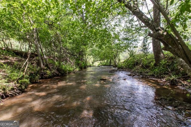 328 Black Ankle Creek Road, Cherry Log, GA 30522