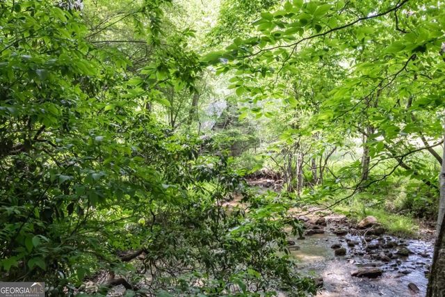 328 Black Ankle Creek Road, Cherry Log, GA 30522