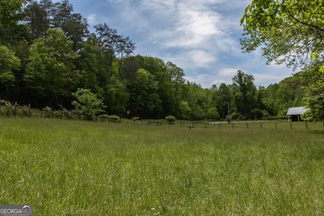 328 Black Ankle Creek Road, Cherry Log, GA 30522