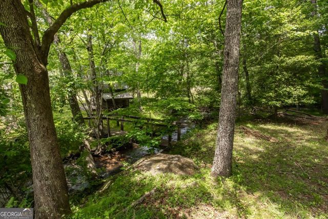 328 Black Ankle Creek Road, Cherry Log, GA 30522