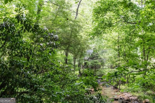 328 Black Ankle Creek Road, Cherry Log, GA 30522