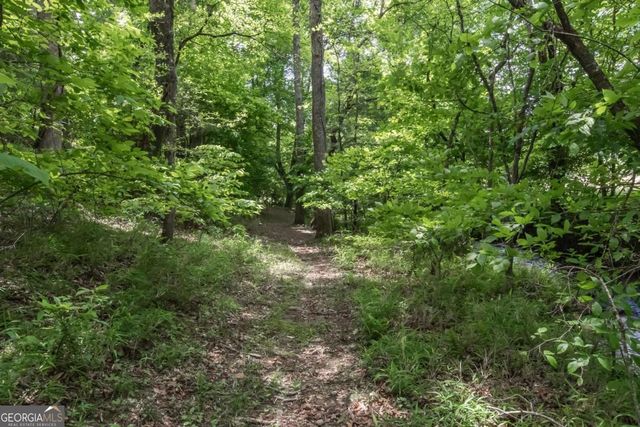 328 Black Ankle Creek Road, Cherry Log, GA 30522