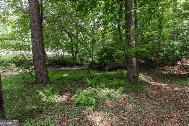 328 Black Ankle Creek Road, Cherry Log, GA 30522