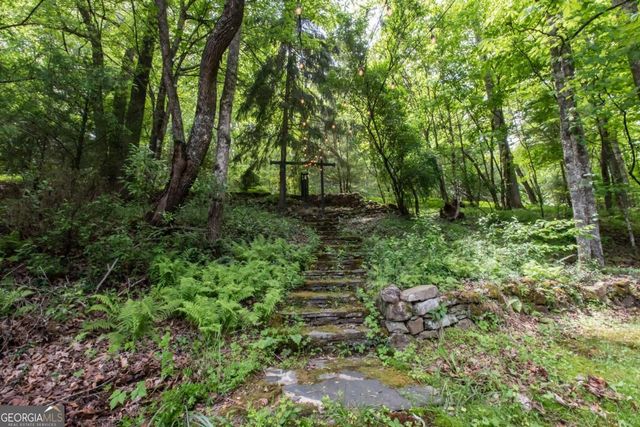 328 Black Ankle Creek Road, Cherry Log, GA 30522