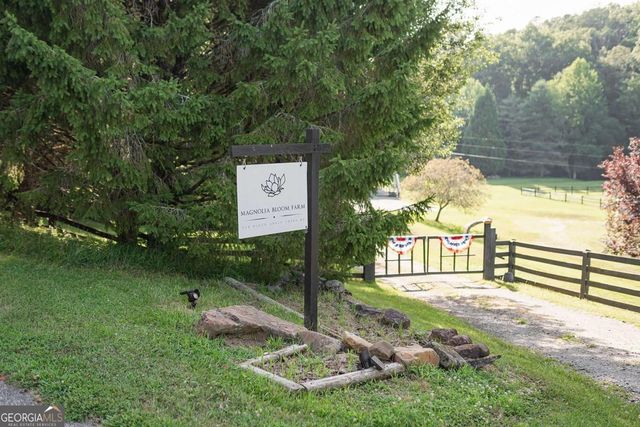 328 Black Ankle Creek Road, Cherry Log, GA 30522