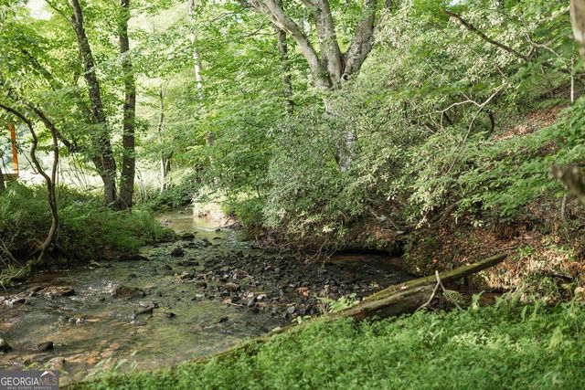 328 Black Ankle Creek Road, Cherry Log, GA 30522