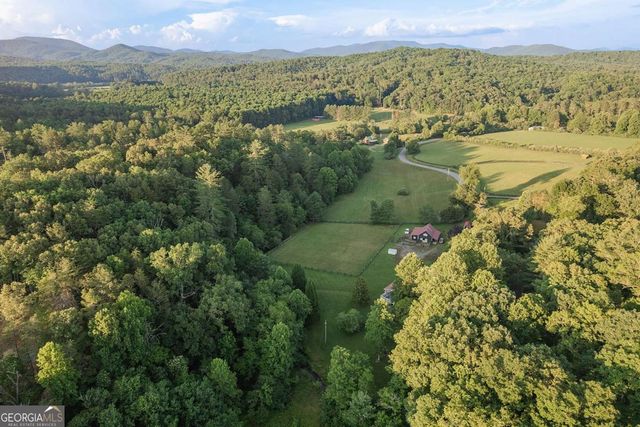 328 Black Ankle Creek Road, Cherry Log, GA 30522