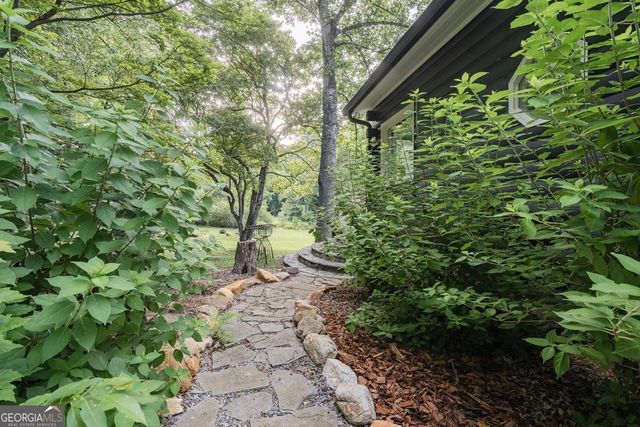 328 Black Ankle Creek Road, Cherry Log, GA 30522