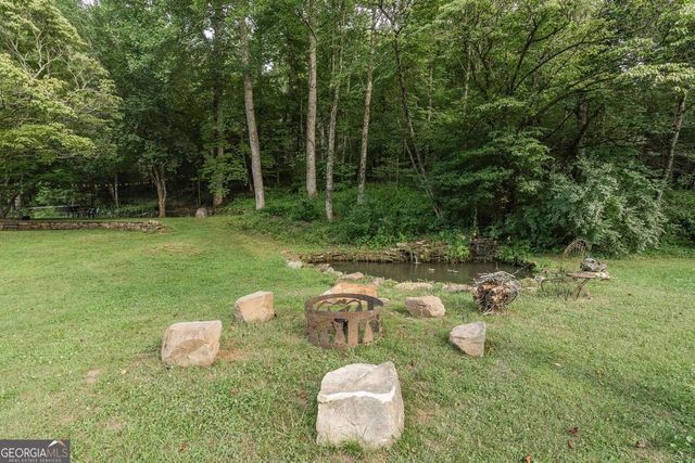 328 Black Ankle Creek Road, Cherry Log, GA 30522