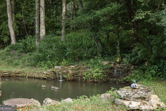 328 Black Ankle Creek Road, Cherry Log, GA 30522