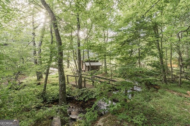 328 Black Ankle Creek Road, Cherry Log, GA 30522