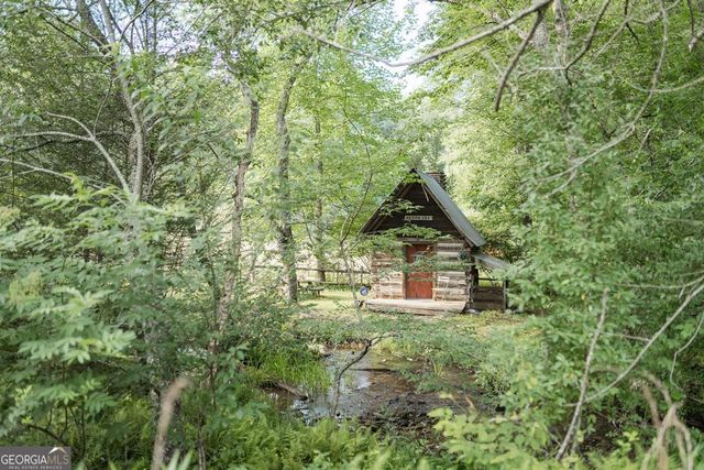 328 Black Ankle Creek Road, Cherry Log, GA 30522
