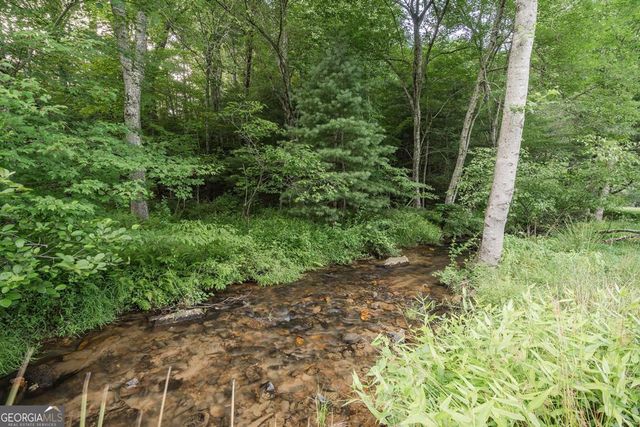 328 Black Ankle Creek Road, Cherry Log, GA 30522