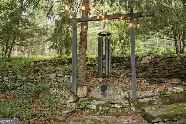 328 Black Ankle Creek Road, Cherry Log, GA 30522