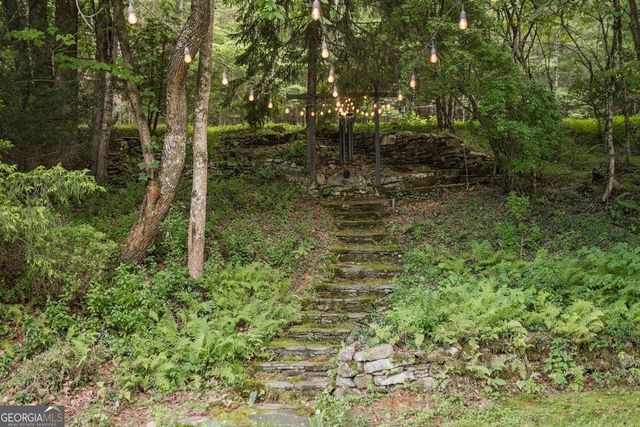 328 Black Ankle Creek Road, Cherry Log, GA 30522