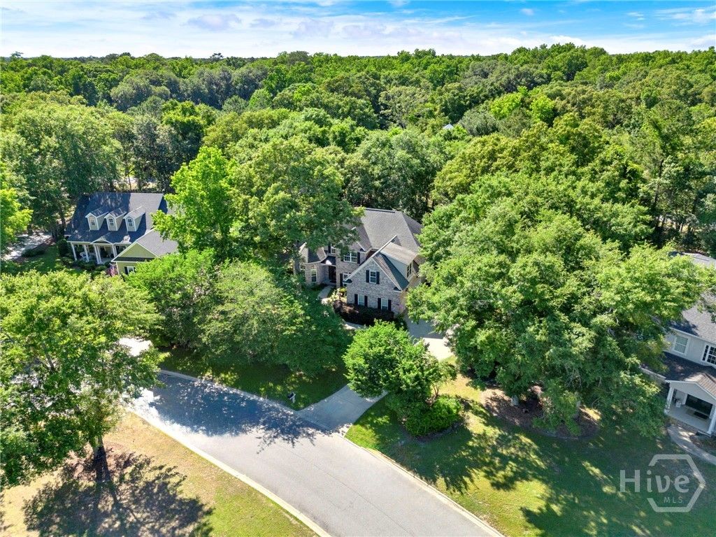 Image 39 of property listing at 195 Chastain Circle, Richmond Hill, GA 31324