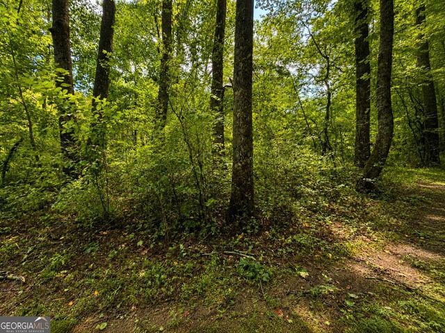 4.06 AC Licklog Trail 0, Ellijay, GA 30536