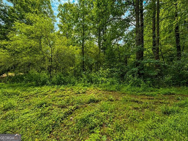4.06 AC Licklog Trail 0, Ellijay, GA 30536