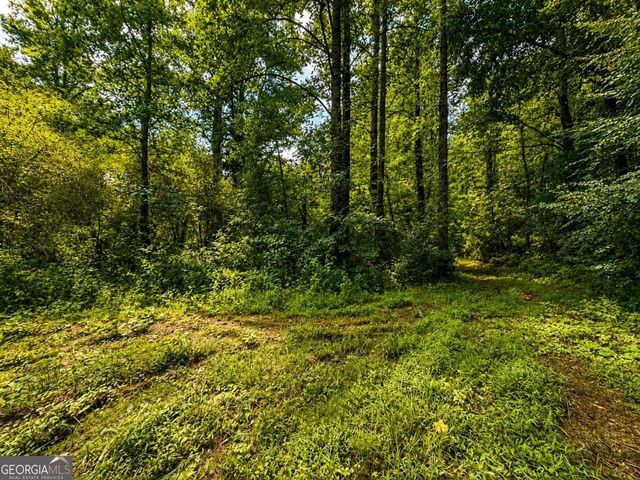 4.06 AC Licklog Trail 0, Ellijay, GA 30536