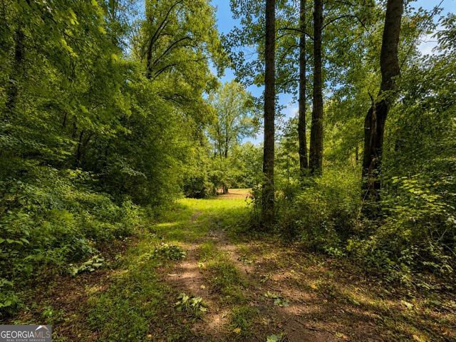 4.06 AC Licklog Trail 0, Ellijay, GA 30536
