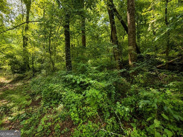 4.06 AC Licklog Trail 0, Ellijay, GA 30536