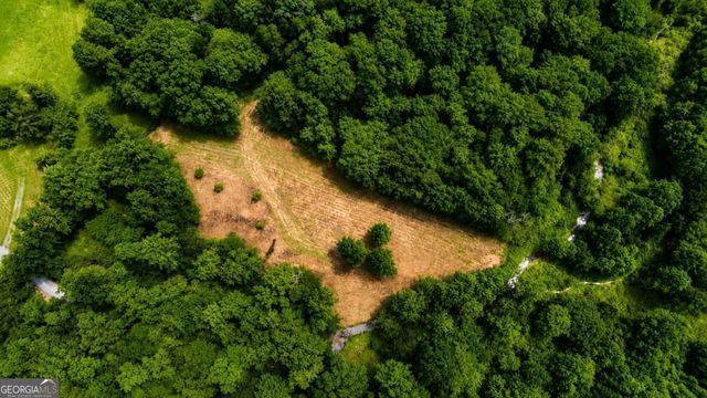 4.06 AC Licklog Trail 0, Ellijay, GA 30536