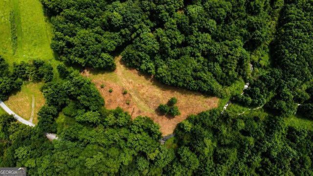 4.06 AC Licklog Trail 0, Ellijay, GA 30536