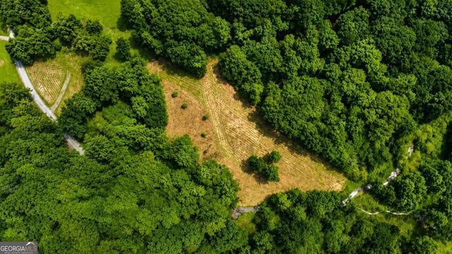 4.06 AC Licklog Trail 0, Ellijay, GA 30536