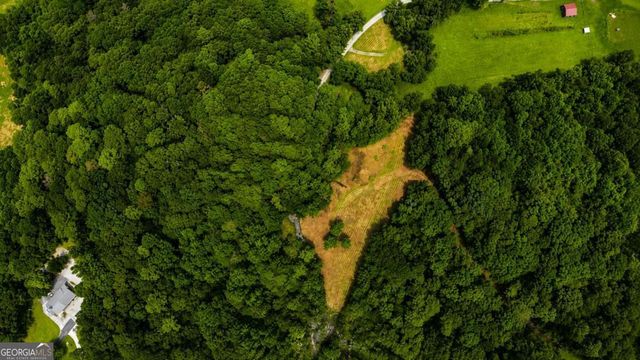 4.06 AC Licklog Trail 0, Ellijay, GA 30536