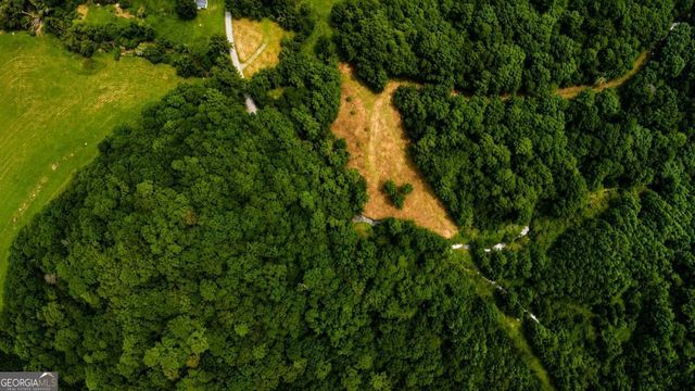 4.06 AC Licklog Trail 0, Ellijay, GA 30536