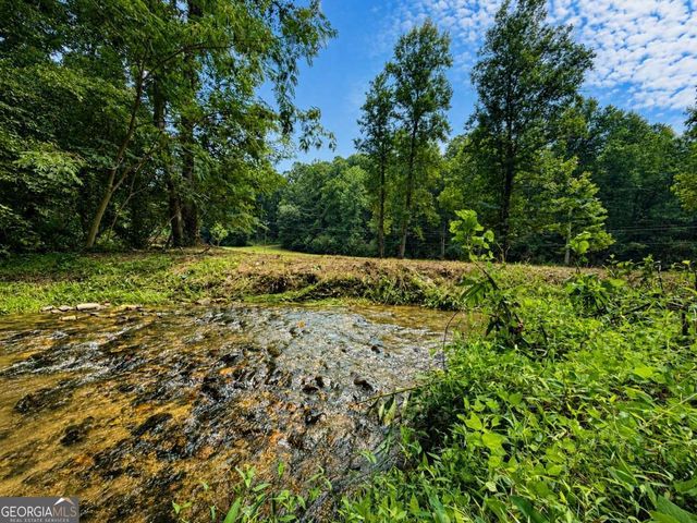 4.06 AC Licklog Trail 0, Ellijay, GA 30536