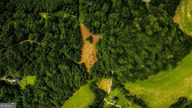 4.06 AC Licklog Trail 0, Ellijay, GA 30536