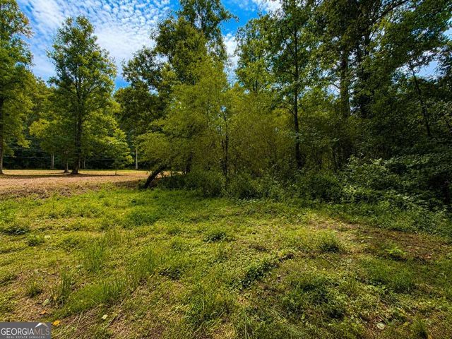 4.06 AC Licklog Trail 0, Ellijay, GA 30536