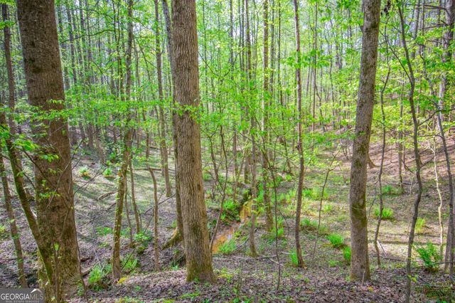 0 Lake Esther Drive, Fairburn, GA 30213