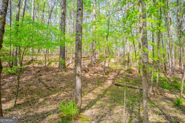 0 Lake Esther Drive, Fairburn, GA 30213