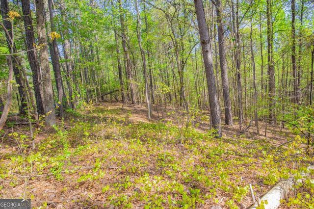0 Lake Esther Drive, Fairburn, GA 30213