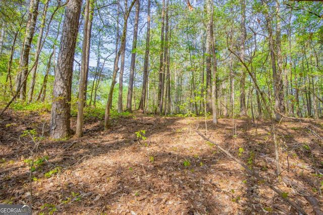 0 Lake Esther Drive, Fairburn, GA 30213